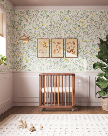 Le berceau nuage des bois