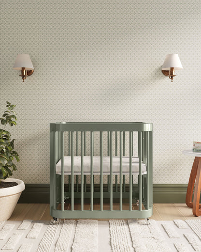 Le berceau Wave en couleur