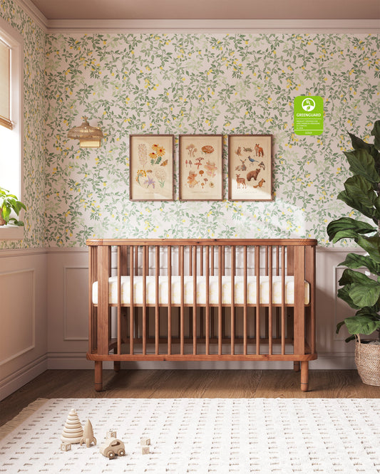 Le berceau nuage des bois